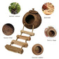Tfwadmx Coconut Hide with Ladder, Natural Fiber Hanging Birdhouse Cage, Bird Shell Breeding Nest for Parrot, Parakeet, Lovebird, Finch, Canary (2 Pcs)