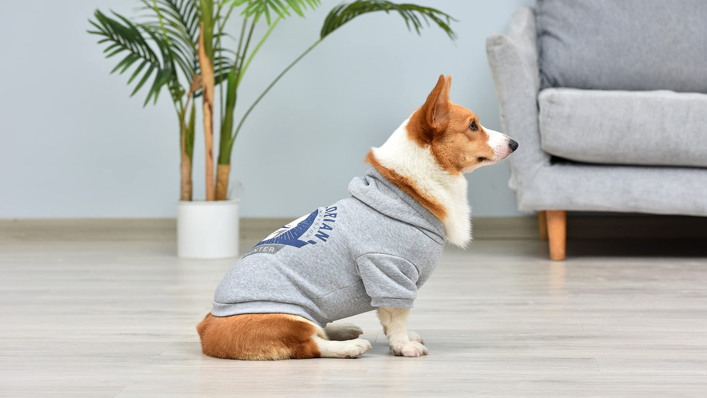 Star Wars for Pets The Mandalorian Dog Hoodie with Leash Attachment Hole - Pet Outerwear for Dogs - Officially Licensed Dog Apparel & Accessories, Grey, Size Small