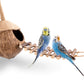 andwe Coconut Bird Nest Hut with Ladder for Parrots Parakeet Conures Cockatiel - Small Animals House Pet Cage Habitats Decor