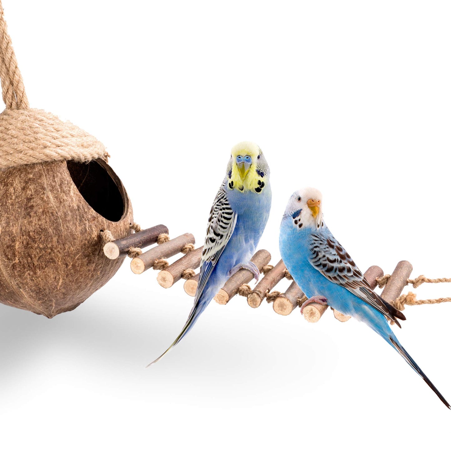 andwe Coconut Bird Nest Hut with Ladder for Parrots Parakeet Conures Cockatiel - Small Animals House Pet Cage Habitats Decor