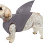 Rubies Shark Fin Pet Costume for Dogs or Cats, M/L