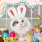 Cat Bunny Ears Halloween Costume Rabbit-Hat Easter Bunny Ears for Cats Small Dogs Easter Halloween Costume Pet Accessory Headwear