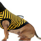 Rubies Bumble Bee Pet Costume for Dogs or Cats, Medium