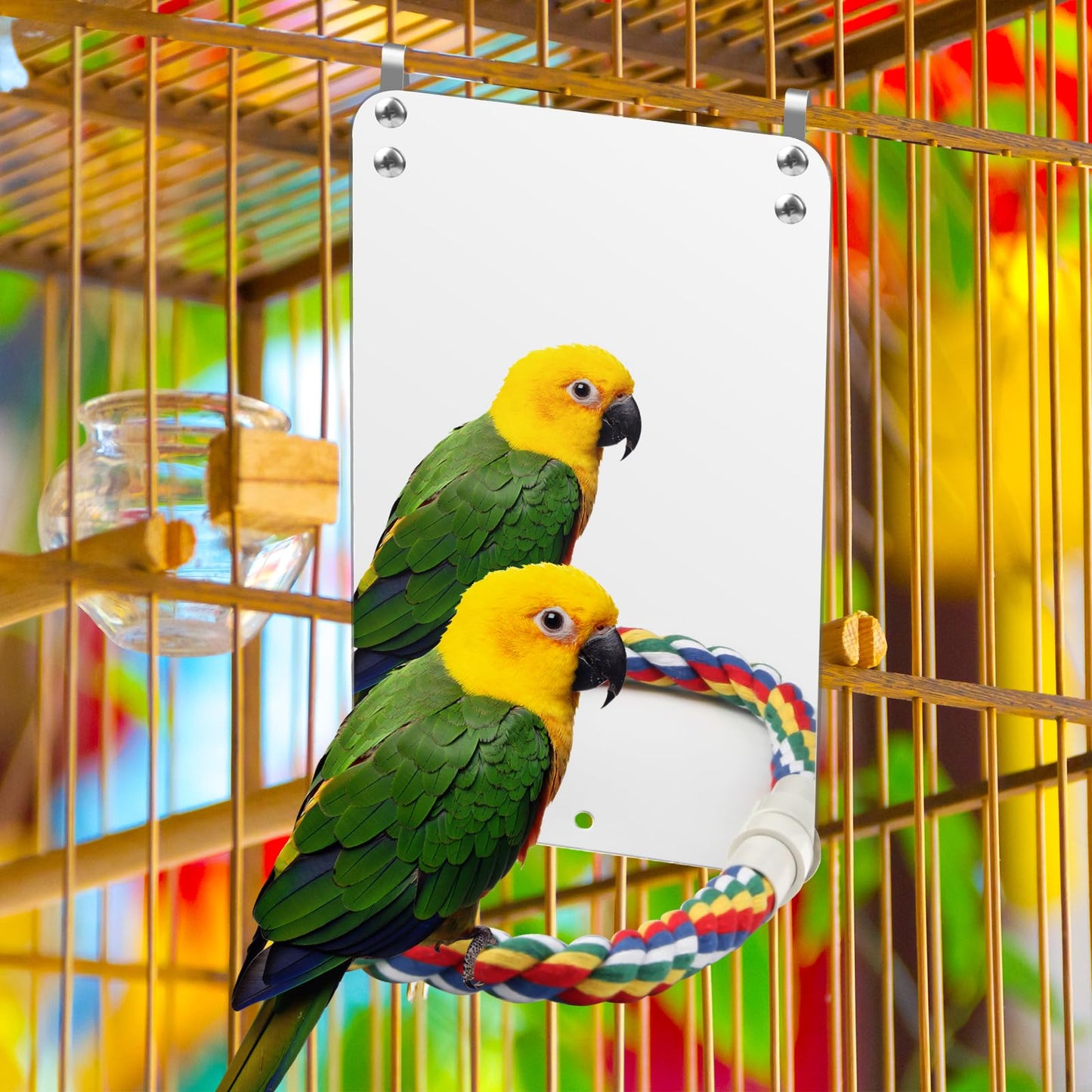 Coolrunner 9.4 Mirror for Bird Parrot and Cage, White, With Rope