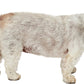 Rubies Cowboy Pet Hat for Dogs or Cats, M/L