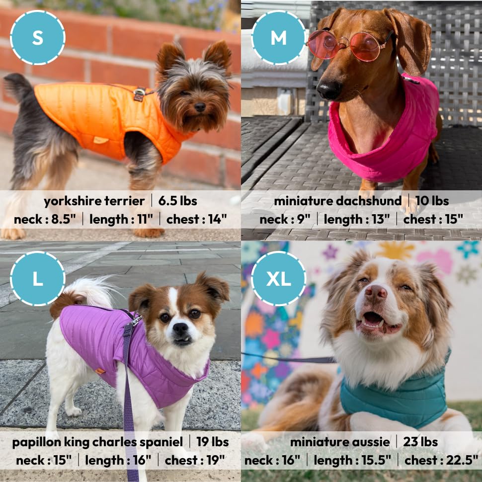 Gooby Puffer Vest Dog Jacket - Purple, X-Small - Ultra Thin Zip Up Wind Breaker with Dual D Ring Leash - Water Resistant Small Dog Sweater Coat - Dog Clothes for Small Dogs Boy or Medium Dogs, (12")