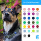 Blueberry Pet Essentials Small Dog Collar in Neon Green | Adjustable & Eco-Friendly Durable Nylon Strap | Classic Collar for Small Dogs, Boy & Girl Pets