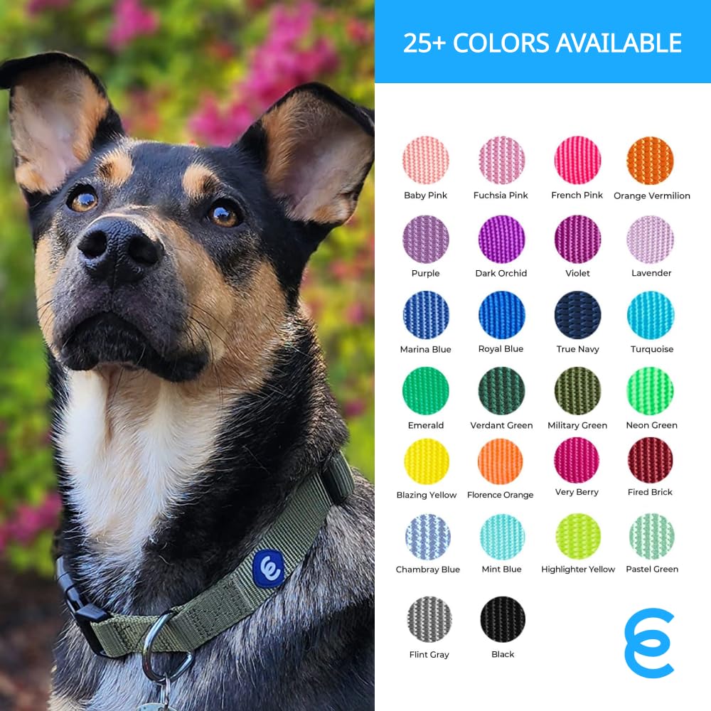 Blueberry Pet Essentials Small Dog Collar in Neon Green | Adjustable & Eco-Friendly Durable Nylon Strap | Classic Collar for Small Dogs, Boy & Girl Pets