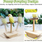 Natural Wood Bird Perch Stand Training, Intelligence Puzzle Enrichment Toys for Parakeets, Wooden Parrot Perch Platform, Bird Playground Play Stands for Conure Cockatiel (Wood, Small)