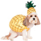 Rubie's Pineapple Pet Costume, Small