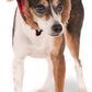 Rubies Trapper Hat Pet Hat for Dogs or Cats, M/L
