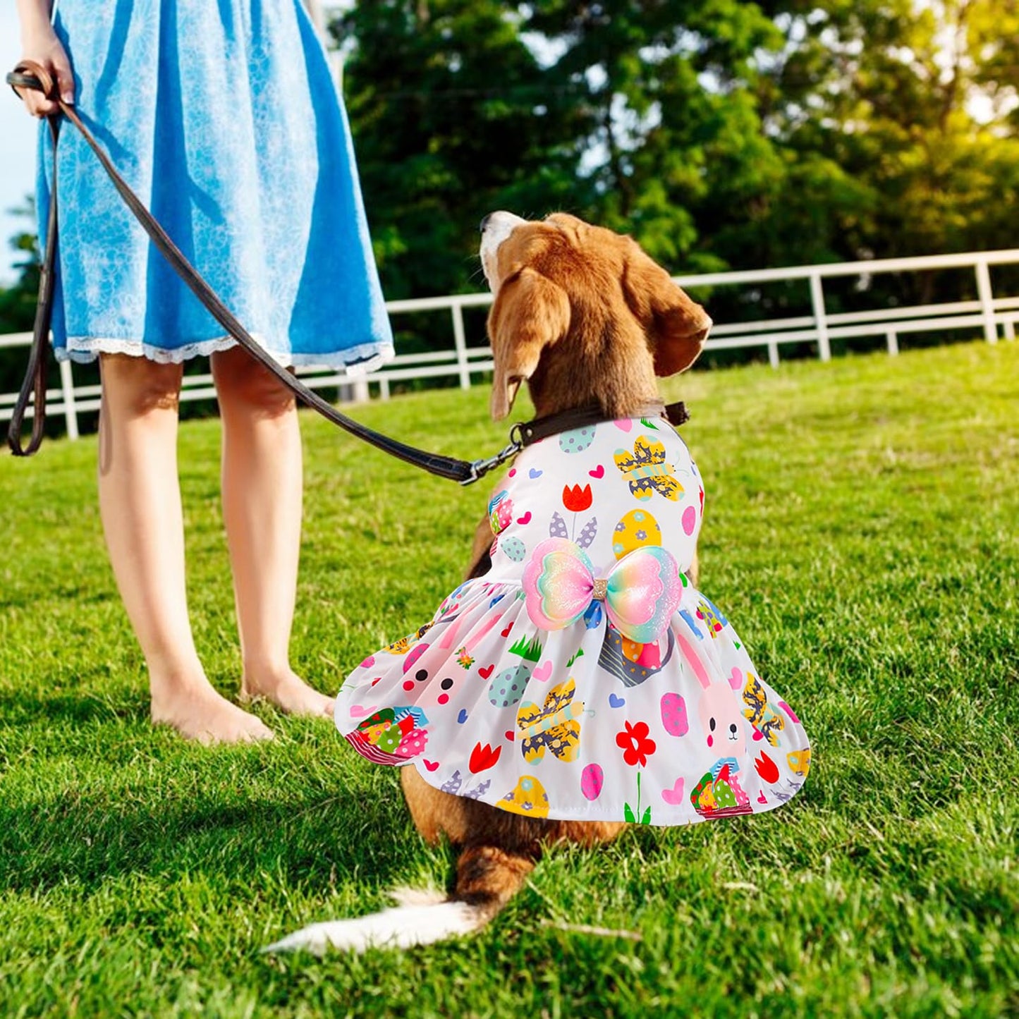 Easter Dog Costume Dress for Pets, Easter Bunny Pet Outfit Dogs Bow Clothes,White Puppy Skirt, Spring Dog Outfit,Size S (6.6-11 lbs)