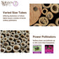 Nature's Way Bird Products PWH1-C Teal Bee House