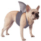 Rubies Shark Fin Pet Costume for Dogs or Cats, M/L