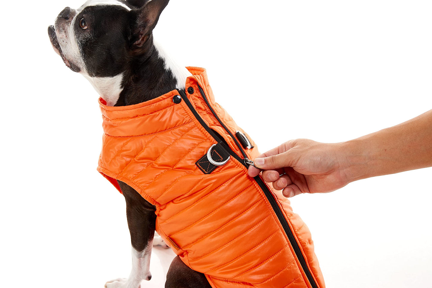 Gooby Puffer Vest Dog Jacket - Purple, X-Small - Ultra Thin Zip Up Wind Breaker with Dual D Ring Leash - Water Resistant Small Dog Sweater Coat - Dog Clothes for Small Dogs Boy or Medium Dogs, (12")