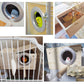 JSLZF Bird Nest, Parakeet Nest Box, Bird Breeding Box with Perch, Wood Budgie Nest Box for Bird, Parrot, Lovebirds, Parrotlet, Finch, Sparrow 7.8” x 4.7” x 4.7”