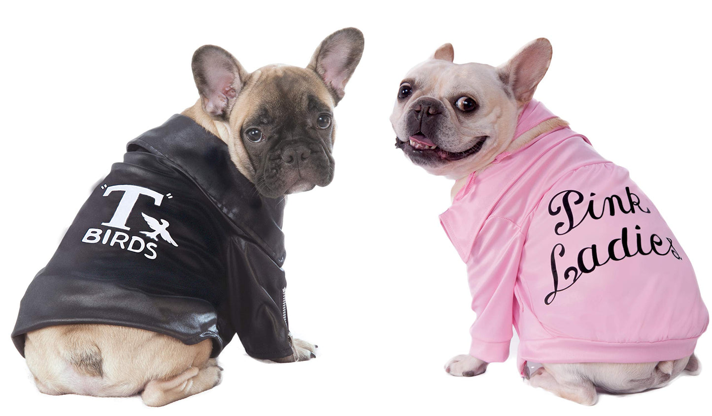Grease: Pink Ladies Pet Costume for For Dogs or Cats by Rubies, Large