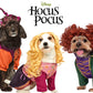Rubies Disney Hocus Pocus: Winifred Sanderson Pet Costume for For Dogs or Cats, Small