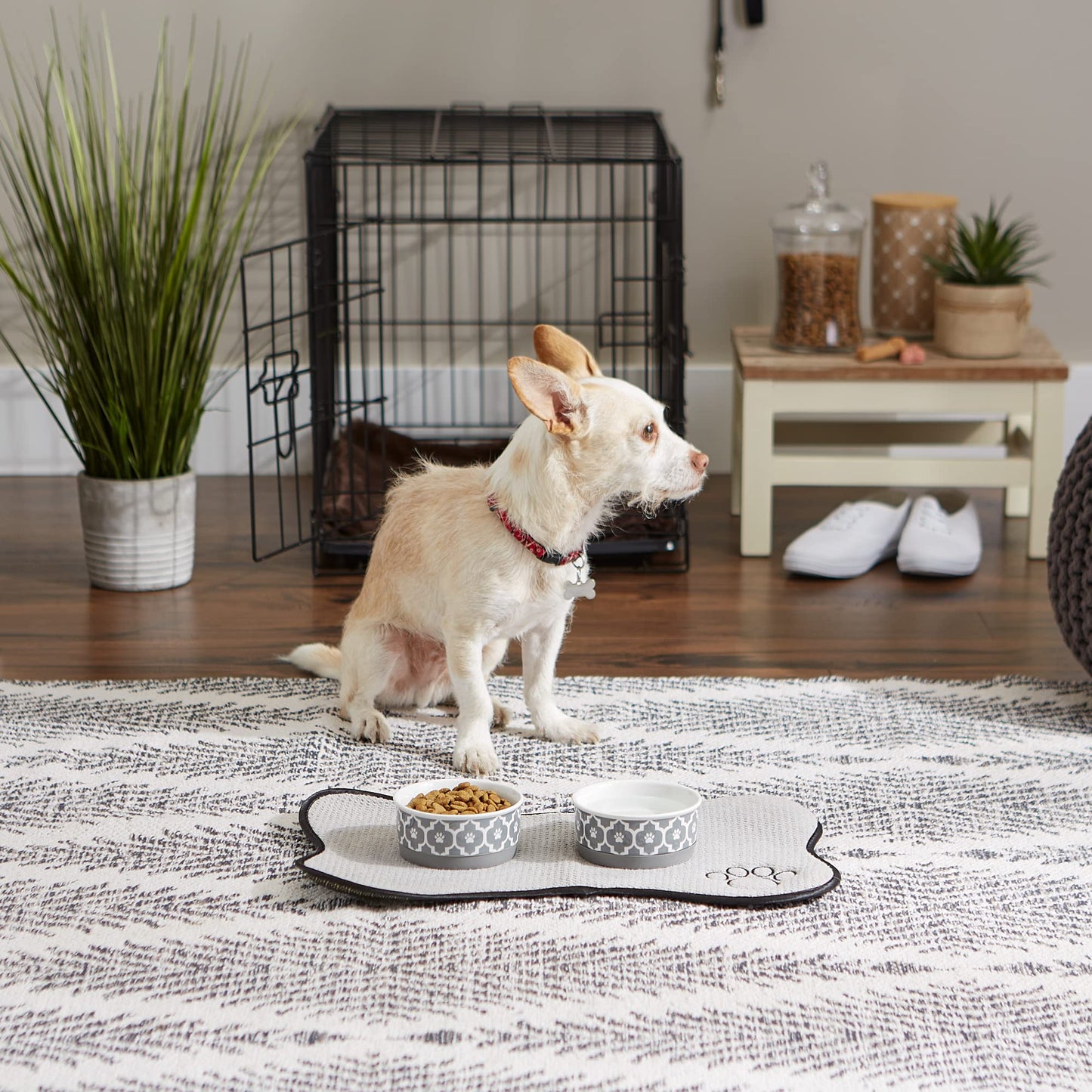 Bone Dry Lattice Collection Pet Bowl & Canister, Small Set, 4.25x2", Gray, 2 Count