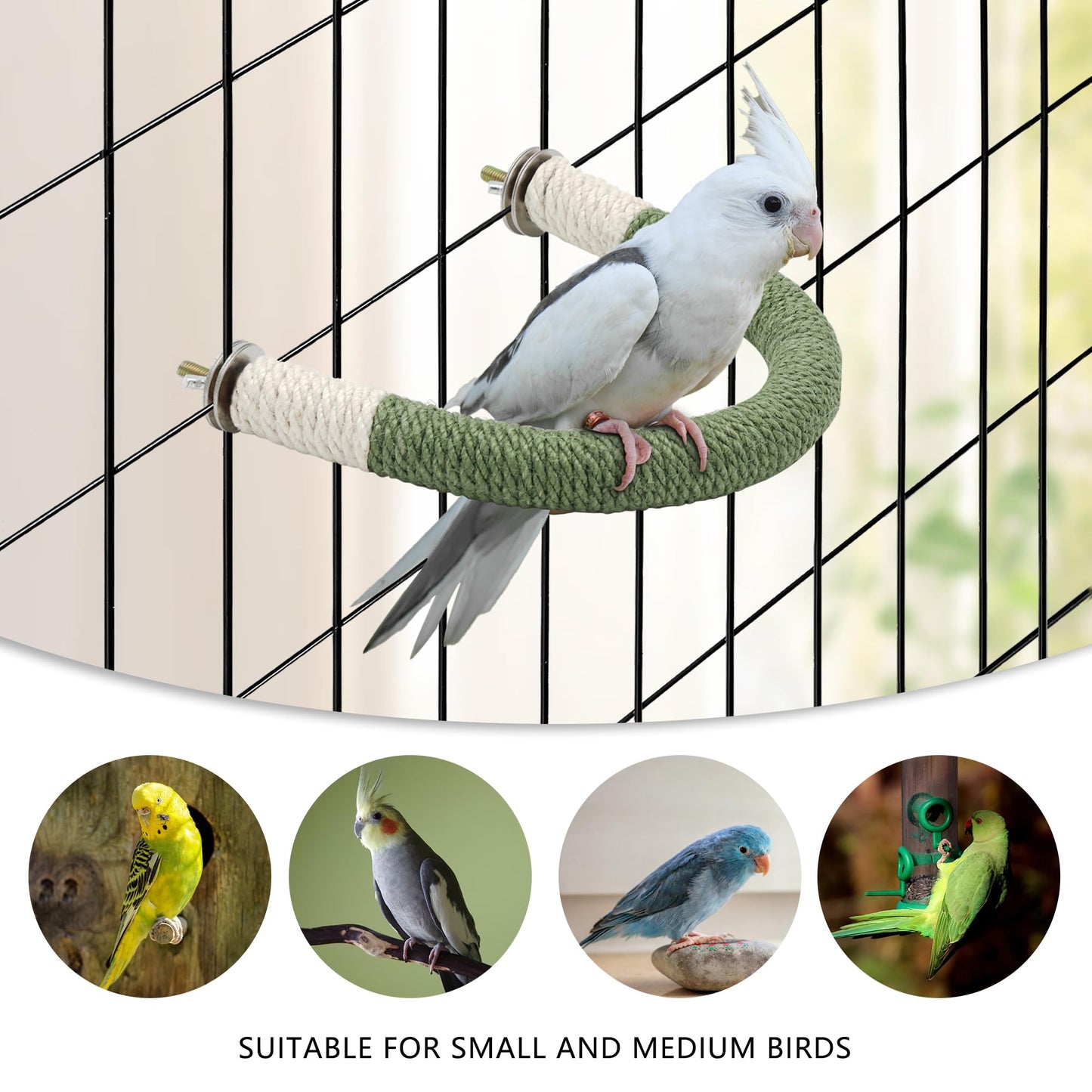 DVHEY Bird Stand Perch U Shape Hemp Rope Green Wood Parrot Perches for Small Birds,Parakeets Macaw Cockatiels Conures Love Birds Finches,Bird Training Educational Stand Toys (Small,1 Pack)