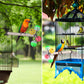 Teniinet Stand Perch Toy with Rotating Balls for Birds, Parakeets, Budgies, Cockatiels, Parrots, Budgerigars, Conures, Parrotlets, Ringnecks, Lovebirds (1Pcs)