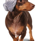 Rubies Old Lady Pet Wig for Dogs or Cats, Small/Medium