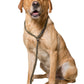 Dog & Field Deluxe Gundog Slip Leash - Olive Green. Soft Spliced Marine Rope Slip Leash for Dogs with Rubber Stopper, Easy to Slip On, No Collar Or Harness Needed. Training Lead for Dogs, One Size