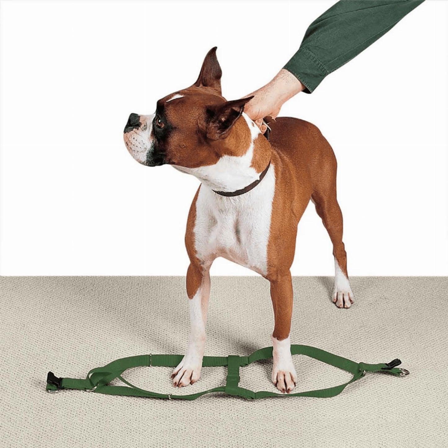Guardian Gear 2 Step Pet Harness