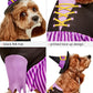 Rubies Witch Pet Costume for Dogs or Cats, Medium