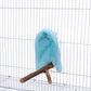 Filhome Comfort Corner Fleece Bird Blanket Parrot Cage Snuggle Hut Warm Bird Nest House Bed Hanging Hammock Toy for Parakeet Cockatiel Pigeon Small Animals Shelter Plush Bedding(Blue/M)