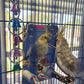 LOPERDEVE 7" Bird Mirror with Rope Perch Bird Toys Swing, Comfy Perch for Greys Amazons Parakeet Cockatiel Conure Lovebirds Finch Canaries