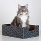 Purrfect Cat Box Modern Cat Box Lounger with Peek-a-Boo Cutout | Premium Corrugated Cardboard Cat Bed for Sleeping and Relaxation | Interactive Board Box for Indoor Kittens and Small Pets, Blue