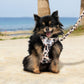 Juicy Couture Leopard Print Dog Harness and Leash Set – Adjustable Puppy Harness with Puppy Leash & Mesh Padding Dog Harness, Large