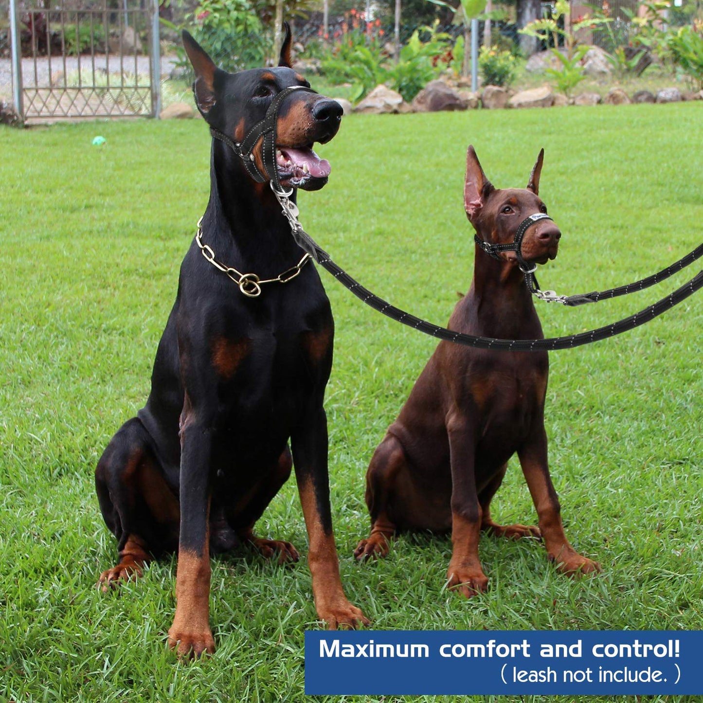 Pawaboo Dog Muzzle, Head Halter Collar for Dog, Pet Dogs Nylon Reflective Adjustable Loop Anti-Biting Barking Control Easy Fit Dogs StopsPulling Head Leash, Medium Size, Black