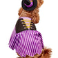 Rubies Witch Pet Costume for Dogs or Cats, Medium