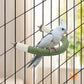 DVHEY Bird Stand Perch U Shape Hemp Rope Green Wood Parrot Perches for Small Birds,Parakeets Macaw Cockatiels Conures Love Birds Finches,Bird Training Educational Stand Toys (Small,1 Pack)