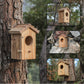 NATUREYLWL Hummingbird House for Outside Hanging, Mini Wood Birdhouse specifically for Hummingbird, Small Bird Nesting Box with Perch, Weather-resistant outdoor birdhouse, Dimensions:3.3*4.1*5.9 inch