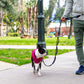 Gooby Puffer Vest Dog Jacket - Purple, X-Small - Ultra Thin Zip Up Wind Breaker with Dual D Ring Leash - Water Resistant Small Dog Sweater Coat - Dog Clothes for Small Dogs Boy or Medium Dogs, (12")
