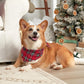 Gerber Baby Pet-1 Piece Holiday Family Matching Pajamas, Red Stewart Plaid, XSmall-Small