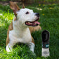Pets First Dog Water Bottle. NFL Philadelphia Eagles PET Water Bottle. Best Cat Water Bottle. Water Fountain Dispenser for Dogs & Cats., Black, 13.5oz (PHL-3344)