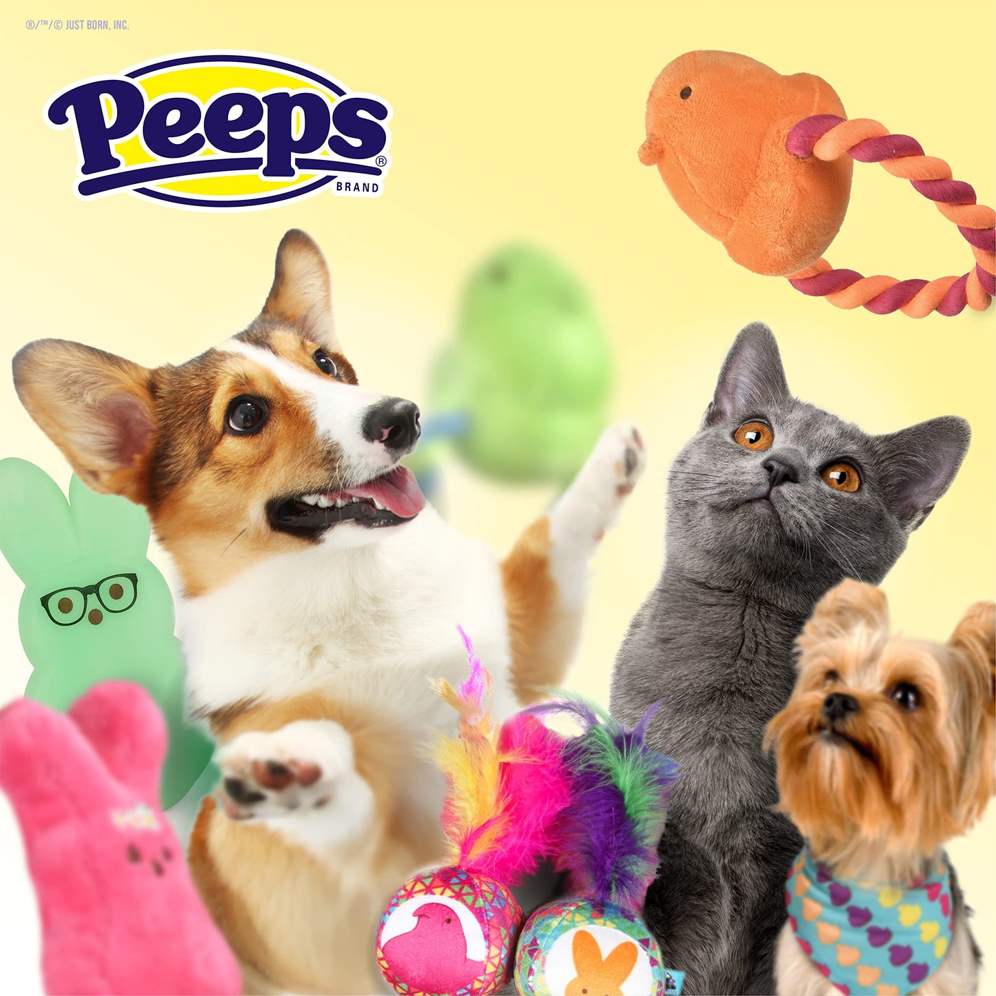 Peeps for Pets Call My Peeps Dog T Shirt - Teal Blue Dog T Shirt for Dogs Soft and Comfortable Machine Washable Dog Shirt - Officially Licensed Peeps Pet Dog Clothing,FF16040
