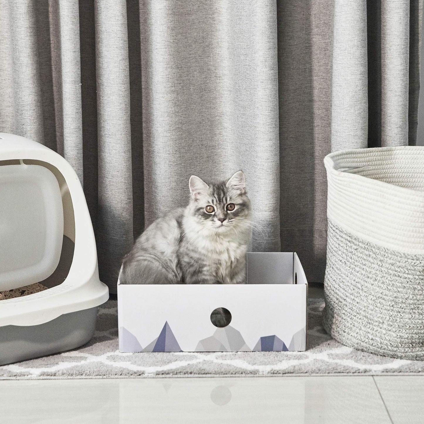 Conlun Cat Scratcher Box with Heavy-Duty Double-Sided Cardboard Pad, Cardboard Lounger, Interactive Hole Design, Cat Bed for Indoor Cats, White, Large