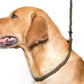 Dog & Field Deluxe Gundog Slip Leash - Olive Green. Soft Spliced Marine Rope Slip Leash for Dogs with Rubber Stopper, Easy to Slip On, No Collar Or Harness Needed. Training Lead for Dogs, One Size