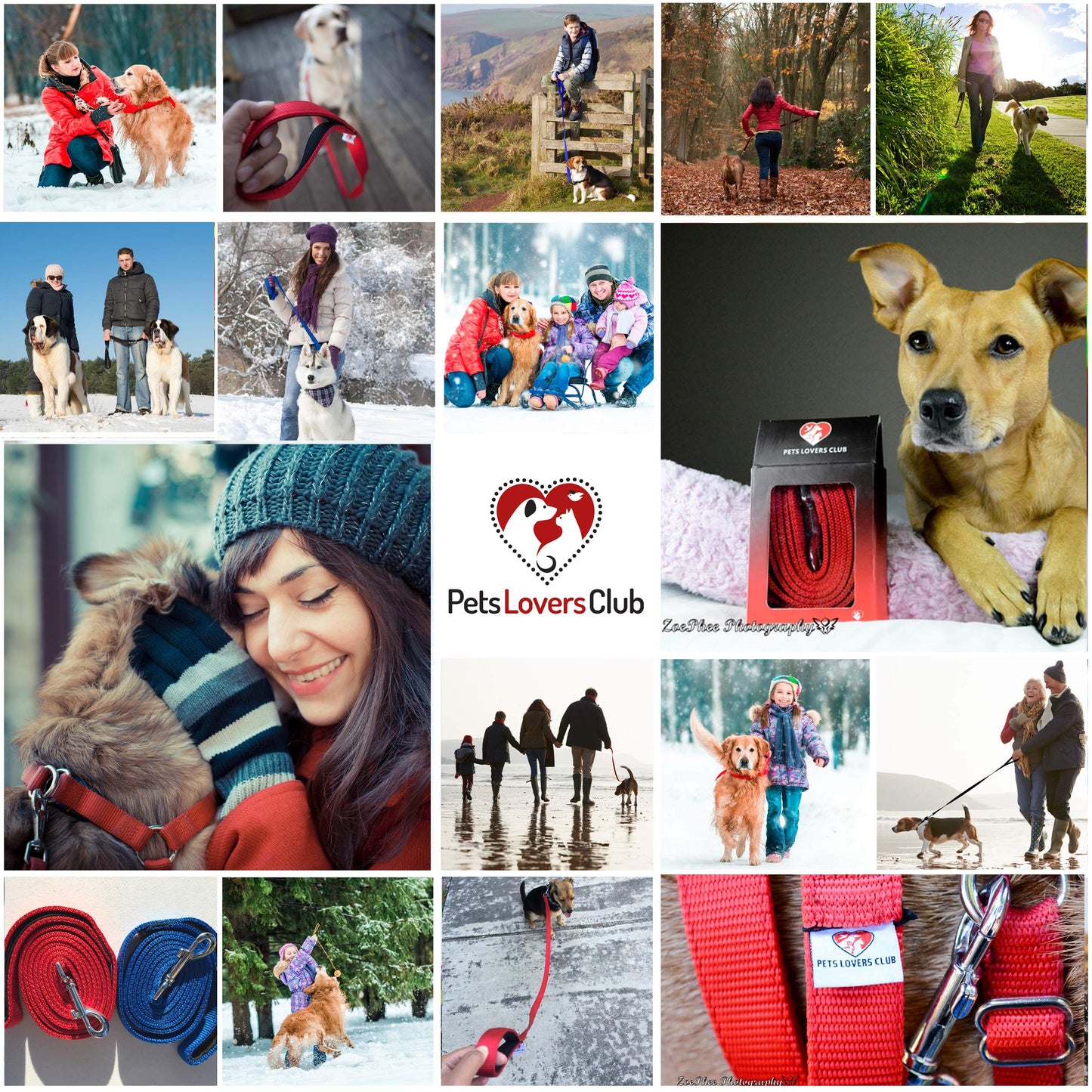 Dog Leash for Medium, Large and Small Dogs - 6 Foot Dog Leashes for Training and Daily Walks - Durable Sizes in Lightweight and Heavy Duty for Small and Large Breeds (1-Layer, Red)