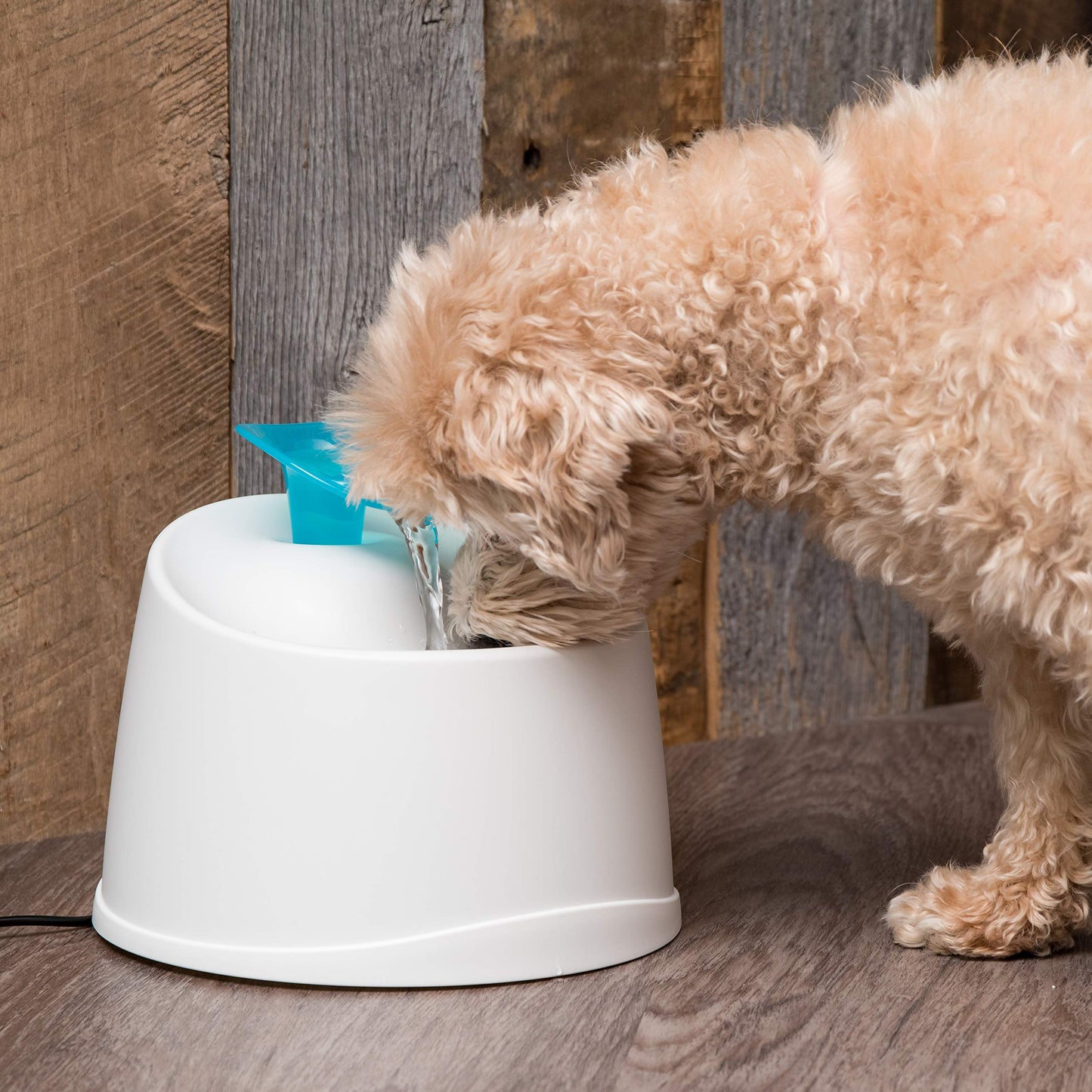 IRIS USA Cat Water Fountain, 44oz / 1.3L, Kitty Spout , Dog Fountain Water Bowl, Silent and Replaceable Charcoal Filter, White/Blue