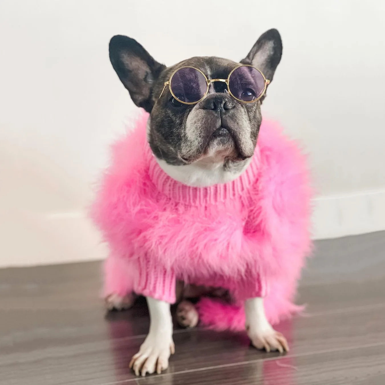 Dog Outfits