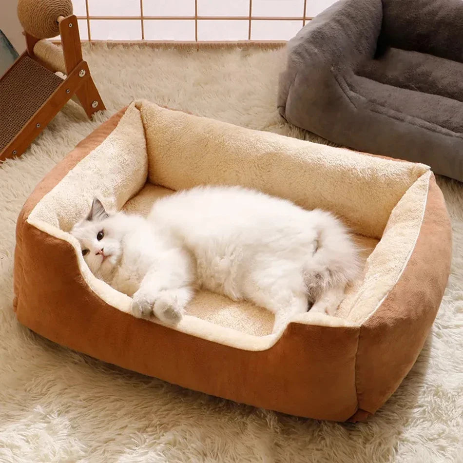 Dog Beds